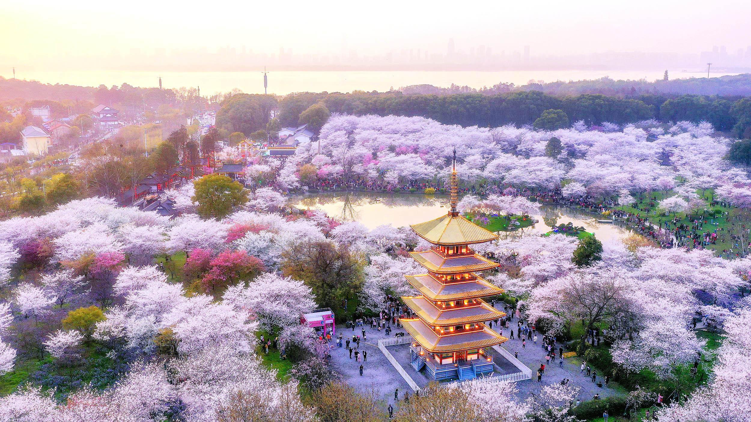 Trung Quốc Cao Cấp: Vũ Hán - Thần Nông Giá - Núi Võ Đang - Tương Dương - Đập Tam Hiệp