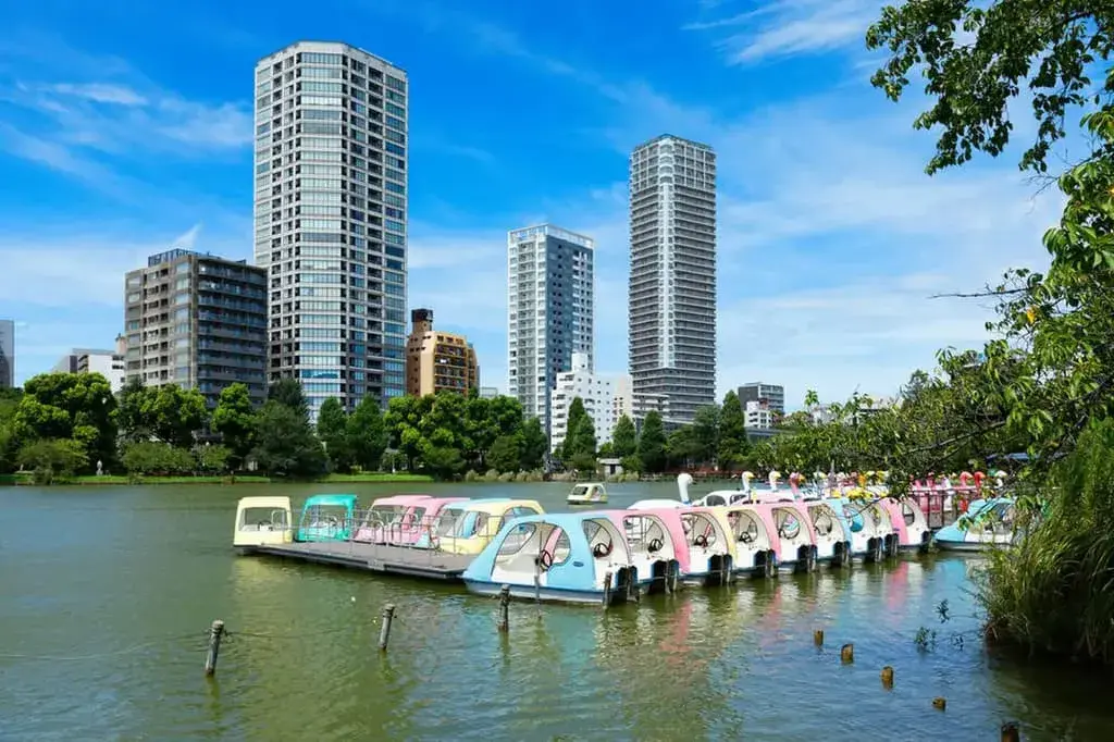 Nhật Bản Mùa Thu: Tokyo - Núi Phú Sĩ - Đại Lộ Icho Namiki
