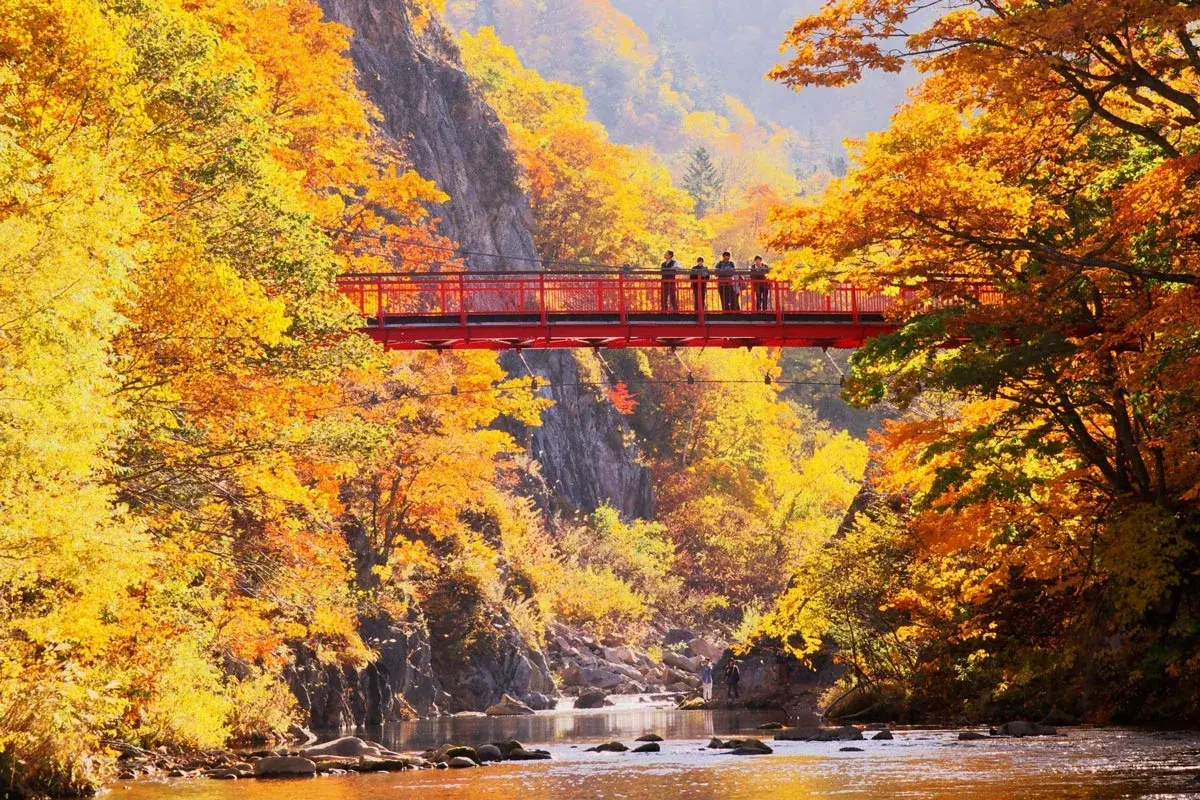 Tour image